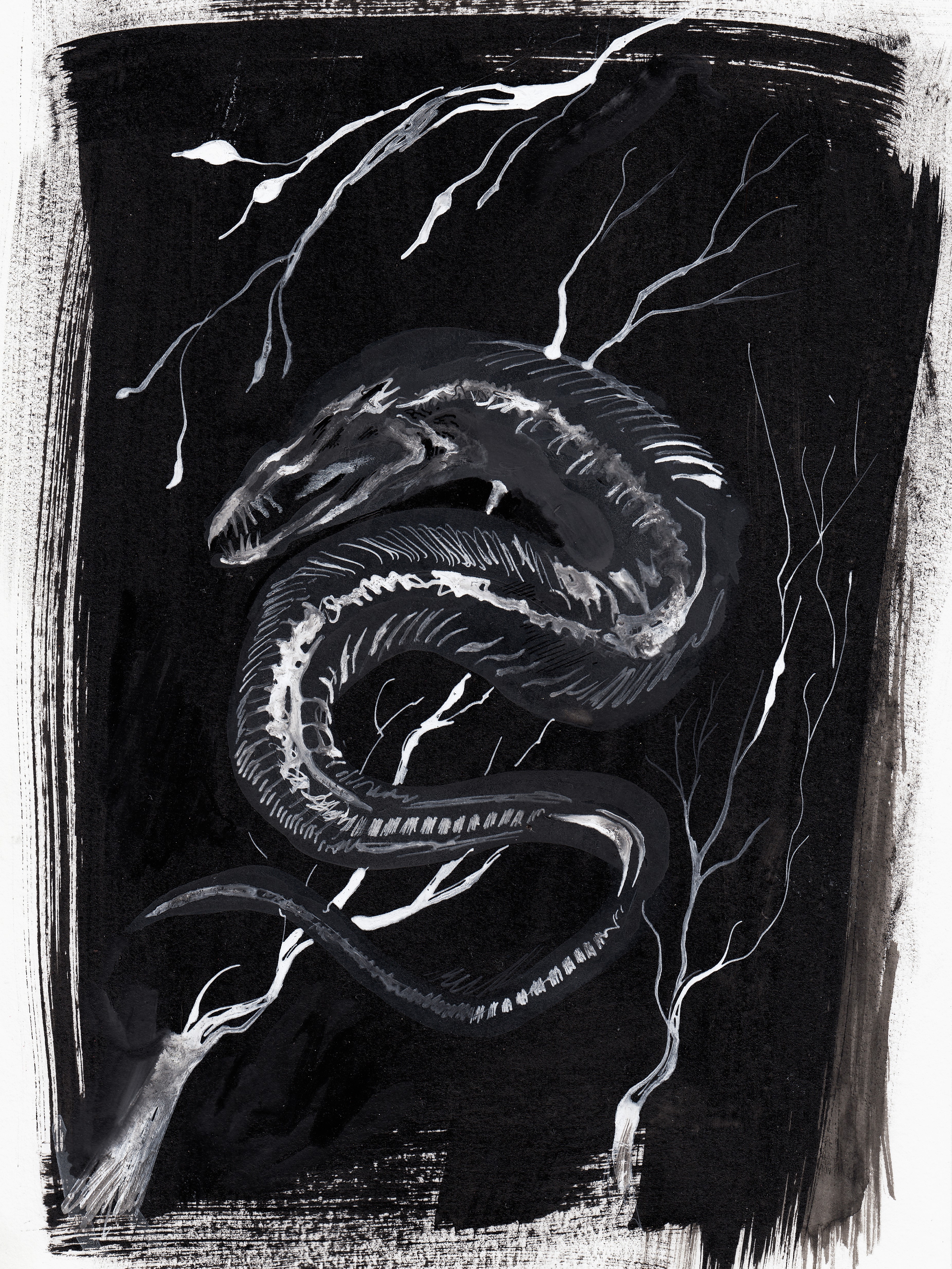 Dream Fish I, ink painting by Zachary Carr, A ghostly moray eel