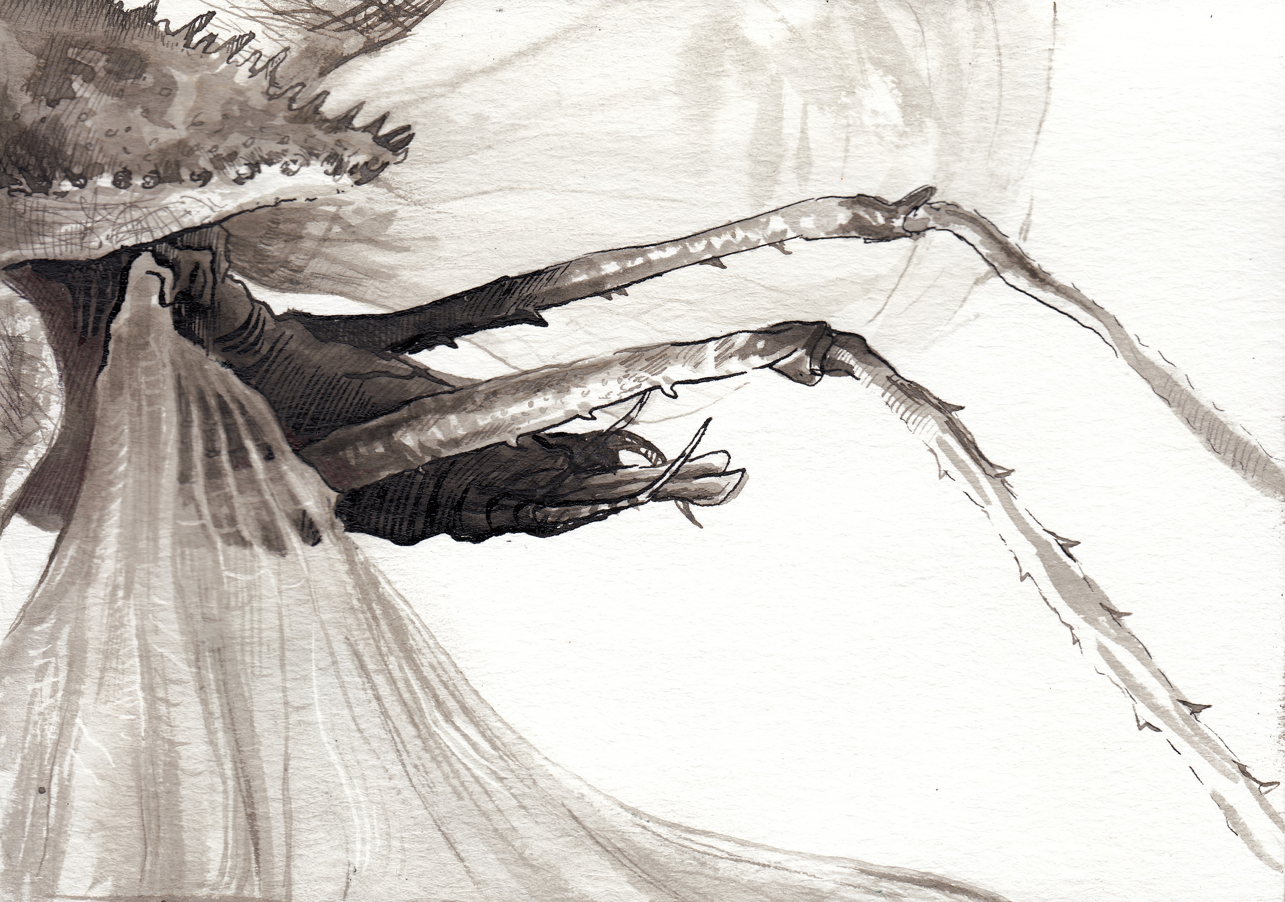 Bug legs, ink art by Zachary Carr