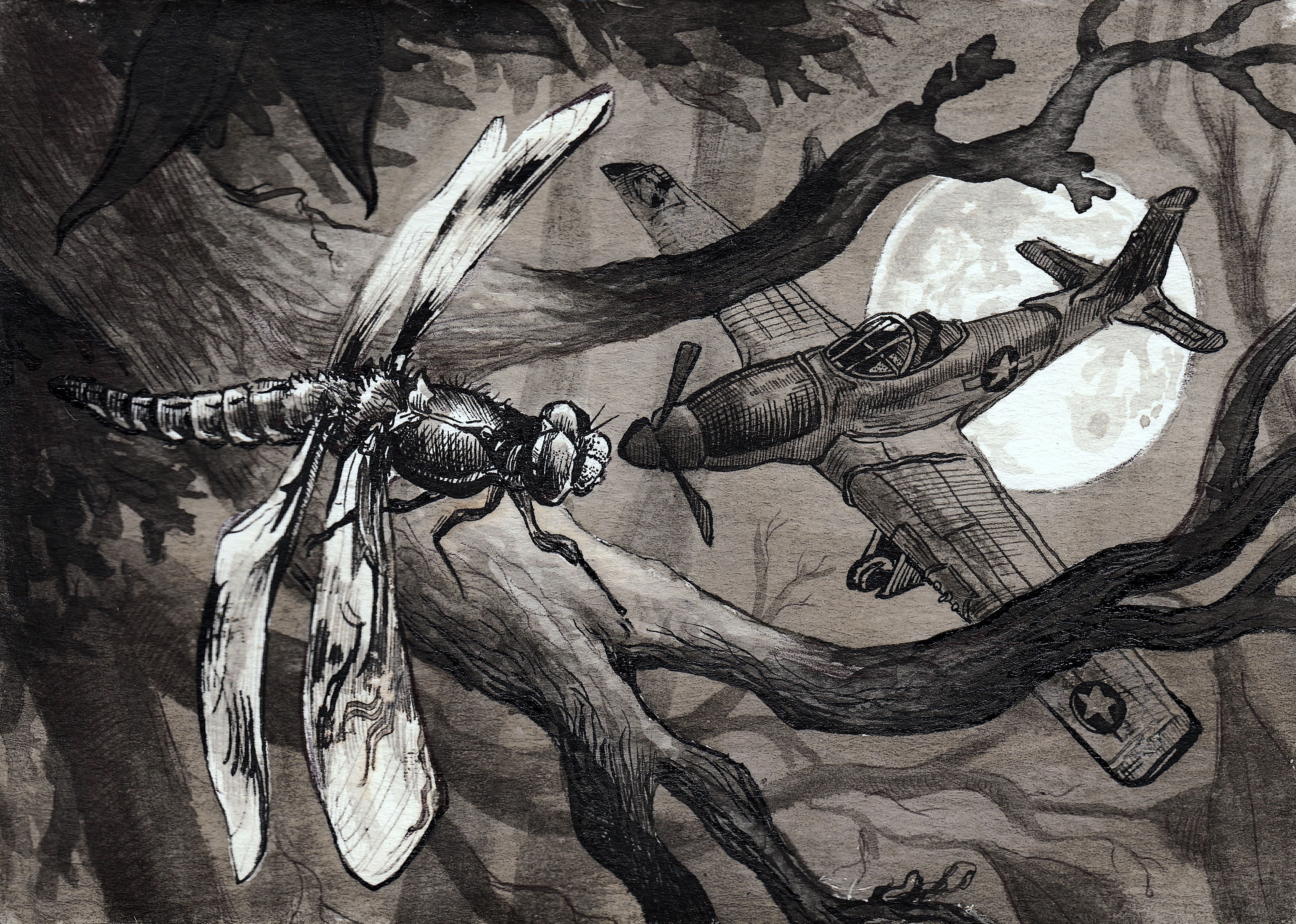 Ink illustration of a dragonfly and a plane in a dark forest, by Zachary Carr