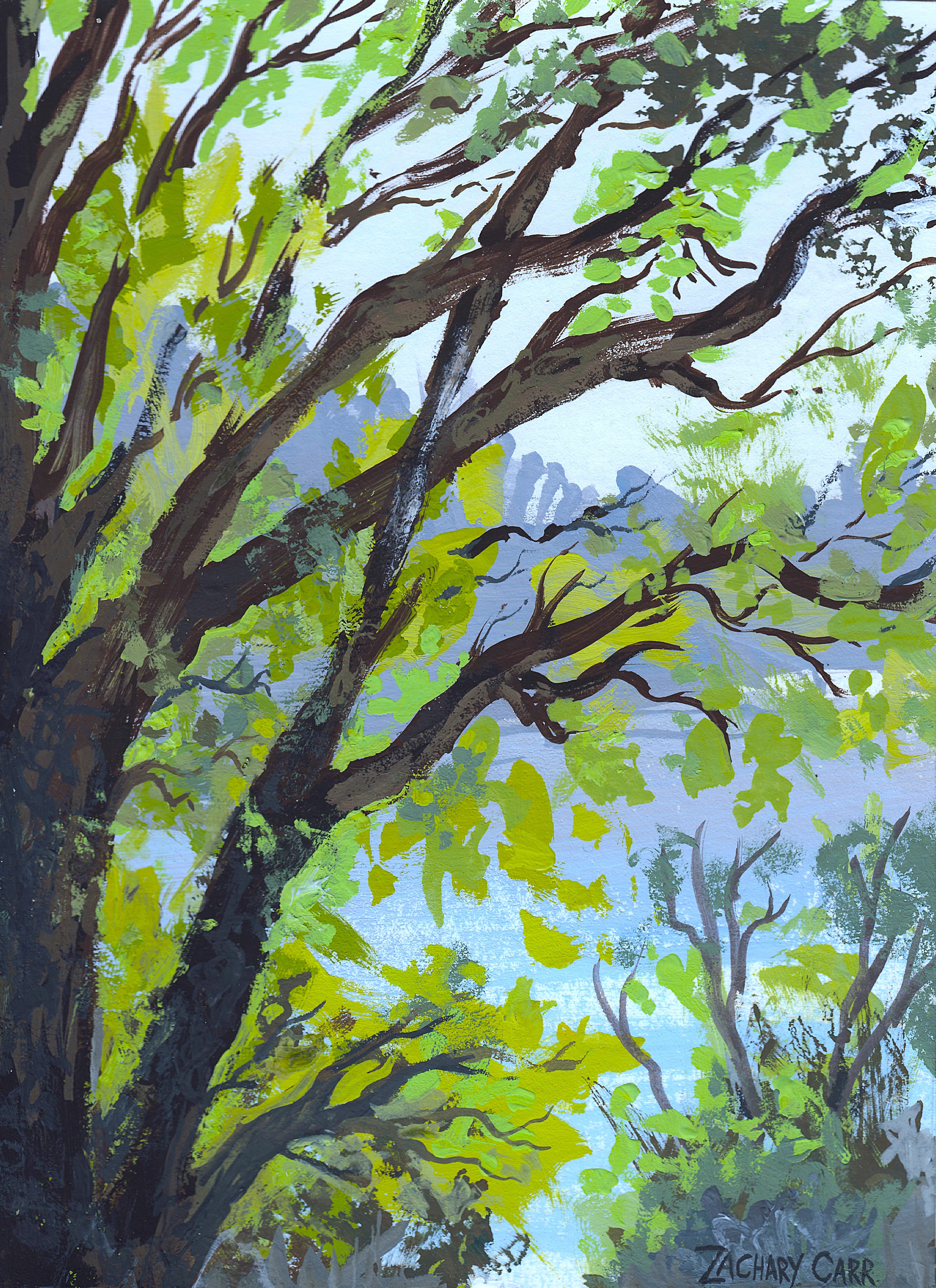 A large old maple tree in front of a lake, plein air acrylic gouache painting by Zachary Carr